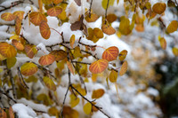 10112013_036