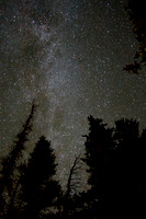 Night sky from Pike National Forest, CO