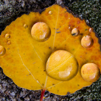 10112013_141-Edit