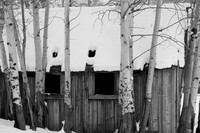 Abandoned Cabin, Beaver Creek, CO
