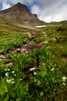 Uncompagre Peak, CO