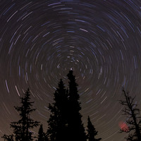 Polaris tops a spruce tree, Pike National Forest, CO