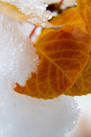 10112013_151