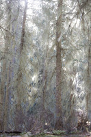 untitled-42